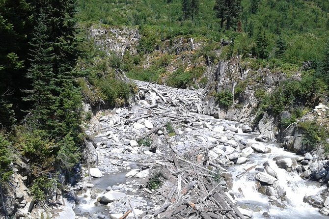 mt-rainier-private-tour-experience-in-suv-2