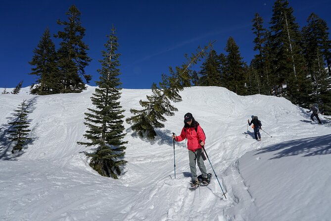 mt-shasta-snowshoeing-tours