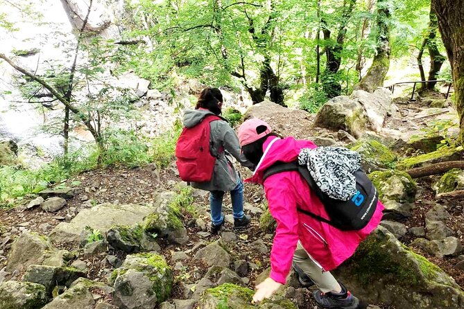 mt-vitosha-and-boyana-waterfall-hiking-tour-from-sofia