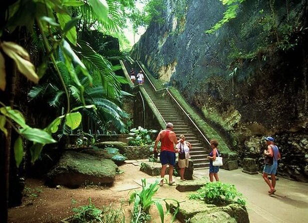 nassau-shore-excursion-sightseeing-and-snorkeling-tour
