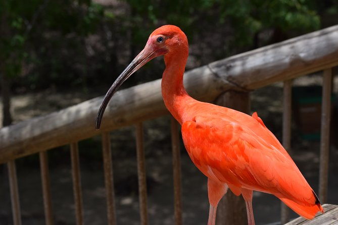 national-aviary