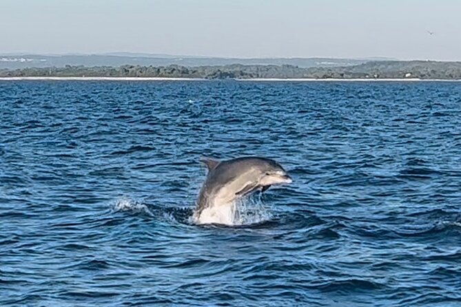 national-park-brijuni-tour-from-pula-with-dolphins-sunsetdinner