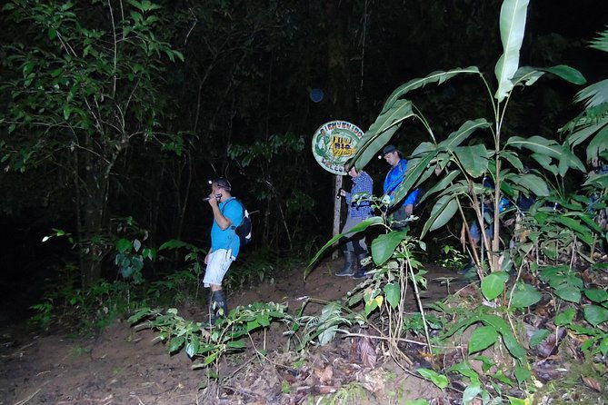 nativos-corcovado-night-hike-in-drakebay