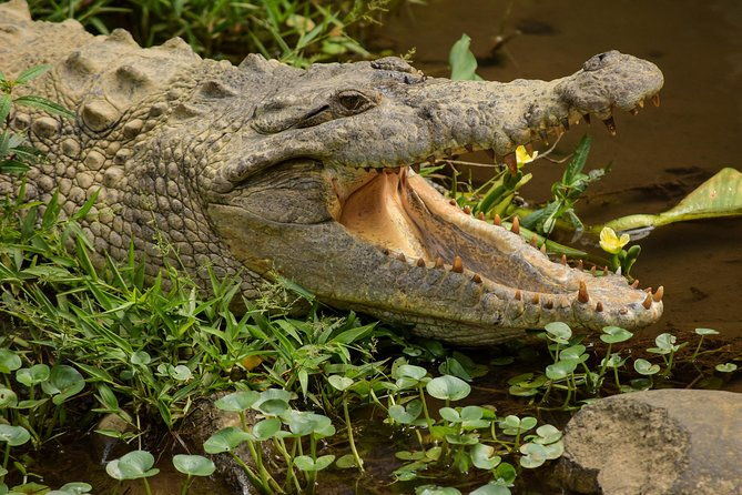 natura-eco-park-admission