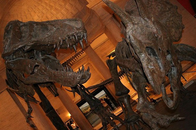 natural-history-museum-of-los-angeles-county-admission