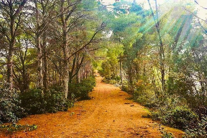 naturalistic-excursion-to-ustica