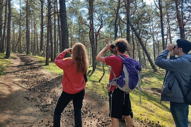 nature-walk-and-wildlife-tour-in-sobieszewo-island