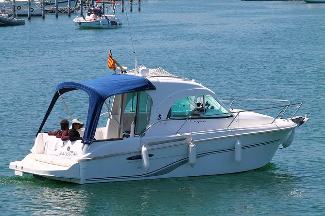 nausicaa-discover-collioure-and-the-cote-vermeille-from-the-sea