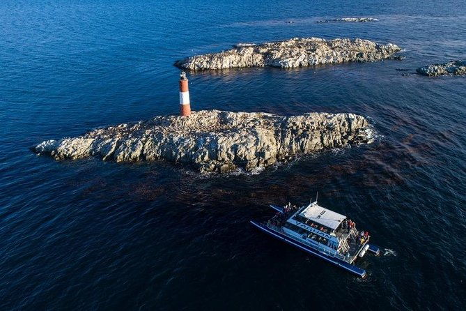 navigation-beagle-channel-isla-de-lobos