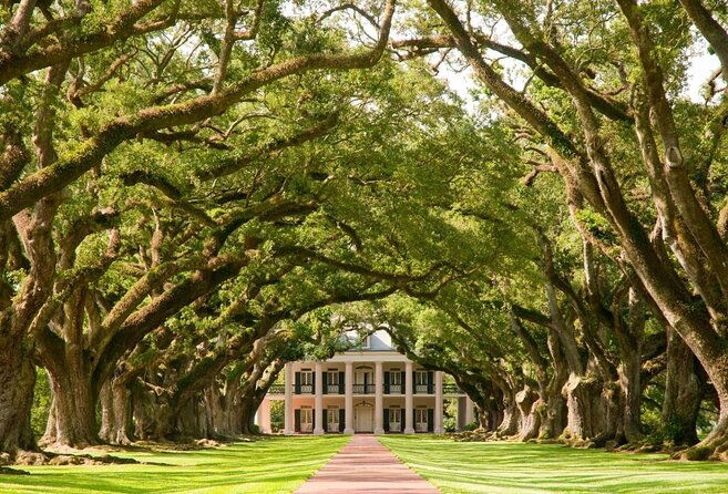 nawlins-luxury-laura-oak-alley-or-whitney-plantation-tour-w-transportation