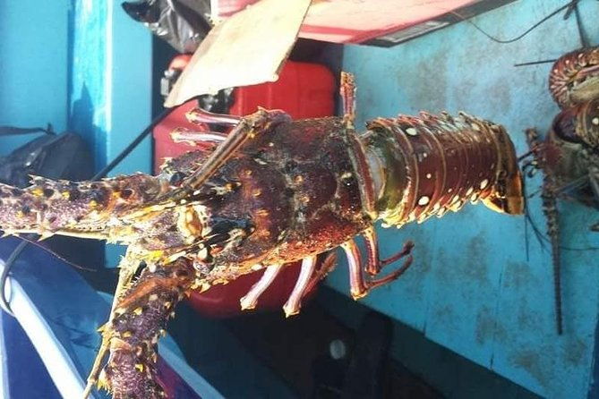 negril-lobster-lunch-on-booby-cay-snorkeling-to-a-sunken-cannon