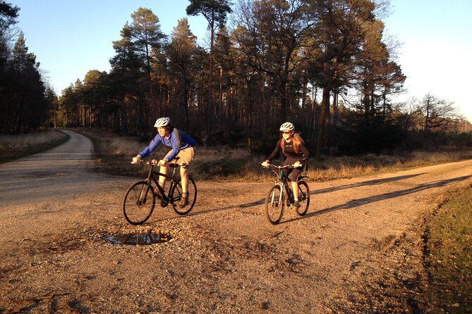 new-forest-sunset-bike-rides