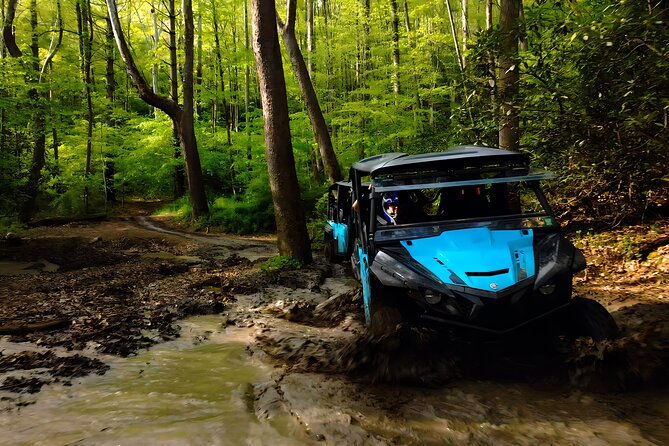 new-river-gorge-side-by-side-family-tour