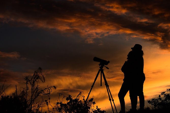 night-guided-tour-with-night-vision-goggleslittle-groups-8-max