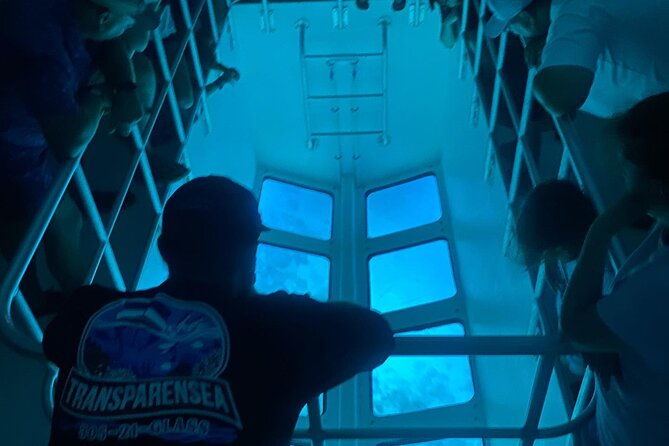 night-tour-glass-bottom-boat-in-islamorada