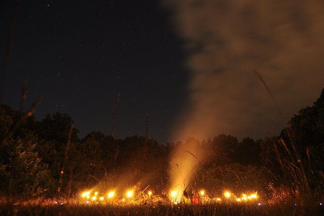 night-tour-in-hoia-baciu-forest
