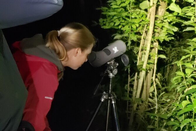 night-walk-experience-in-wildlife-refuge-monteverde
