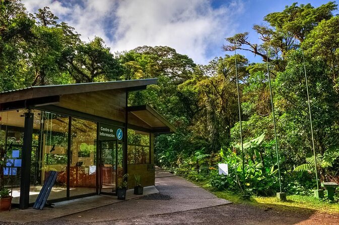 nightwalk-monteverde-by-pablos-natural-tour