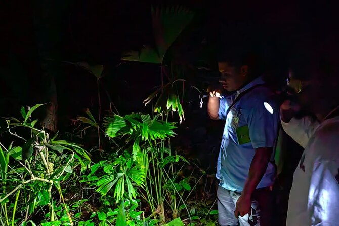 nocturnal-tour-in-manzanillo-refuge