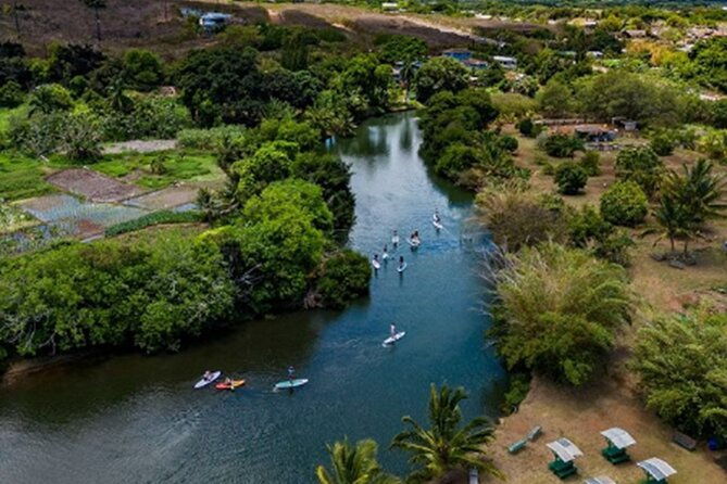 north-shore-farm-anahulu-river-kayak-sup-turtles-lunch-more