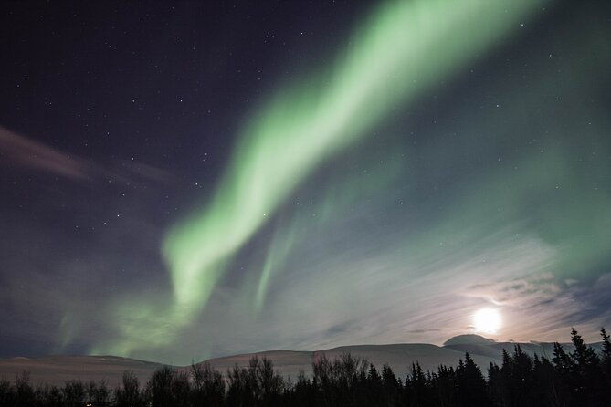 northern-lights-classic-tour-from-akureyri