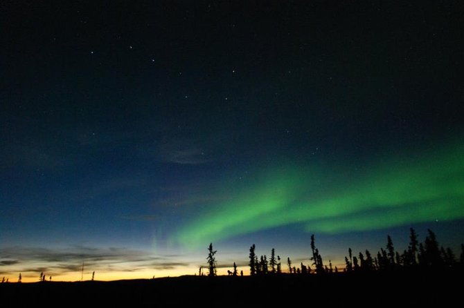 northern-lights-experience-and-cabin-dinner-2