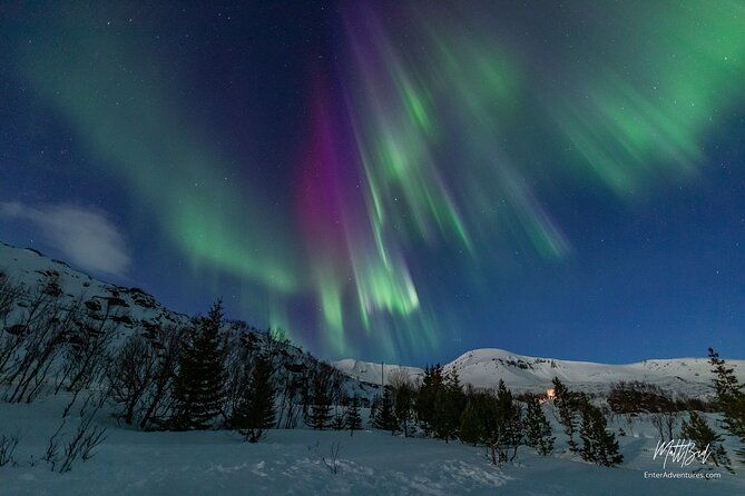 northern-lights-guided-bus-tour-with-snacks-hot-drinks