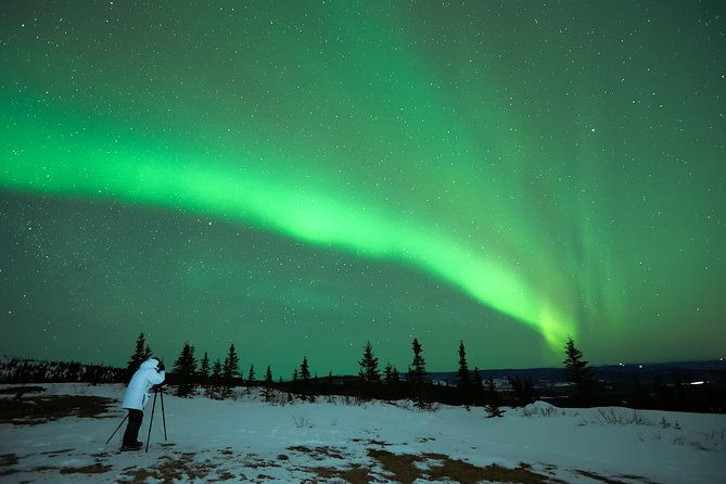 northern-lights-tour-from-reykjavik-with-lifetime-guarantee