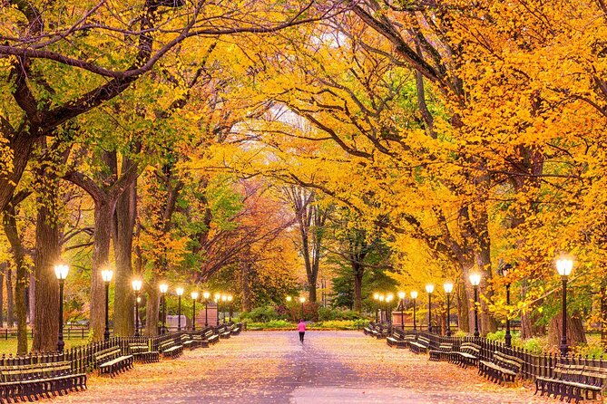 nyc-central-park-night-time-photography-tour