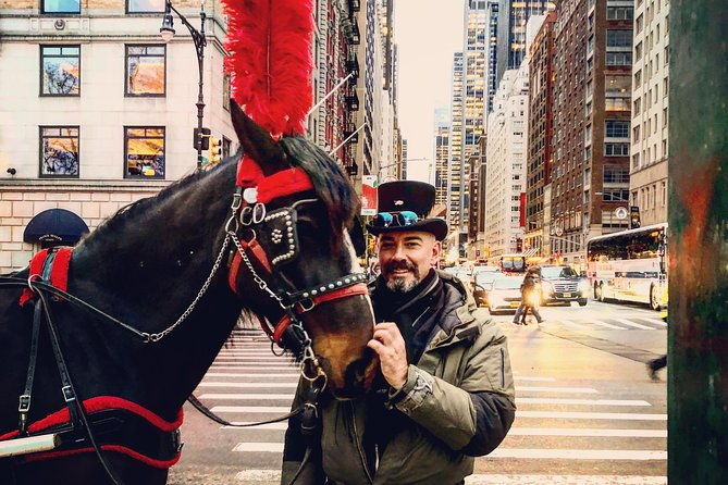 nyc-horse-carriage-ride-in-central-park-50-min-up-to-4-adults