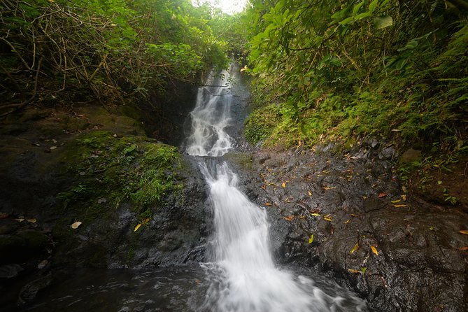 oahu-hidden-waterfall-hike-a-tropical-paradise-adventure