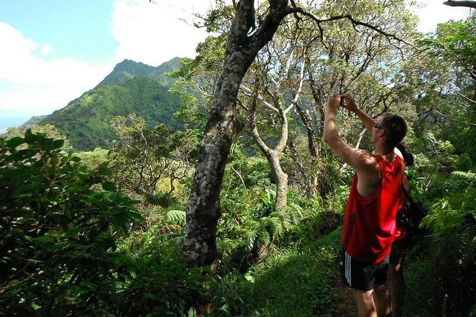 oahu-volcanic-rainforest-hiking-adventure