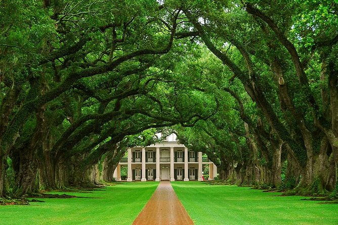 oak-alley-plantation-half-day-tour-from-new-orleans