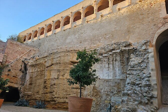 odyssey-of-discovery-through-the-great-marseille