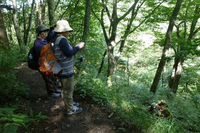 old-nakasendo-trekking-from-karuizawa-beyond-sugahi-pass-to-sakamoto-hotel