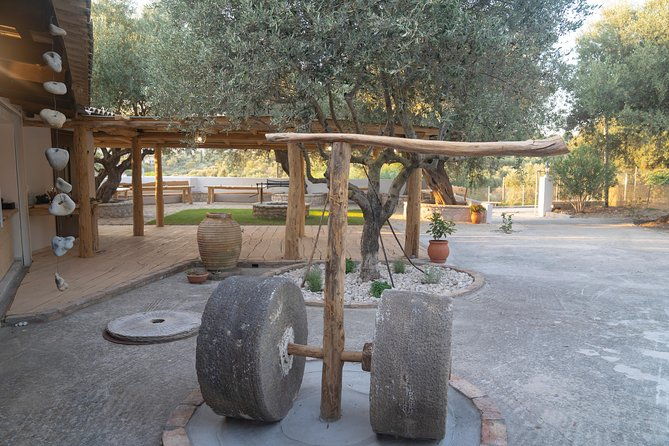 olive-tour-tasting-3