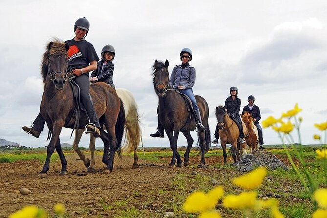 one-hour-horseback-riding-tour-in-the-icelandic-countryside-2