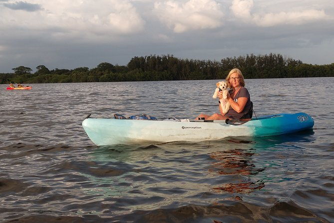 one-single-kayak-rental-for-2-hours-with-manatee-dolphin-sightings