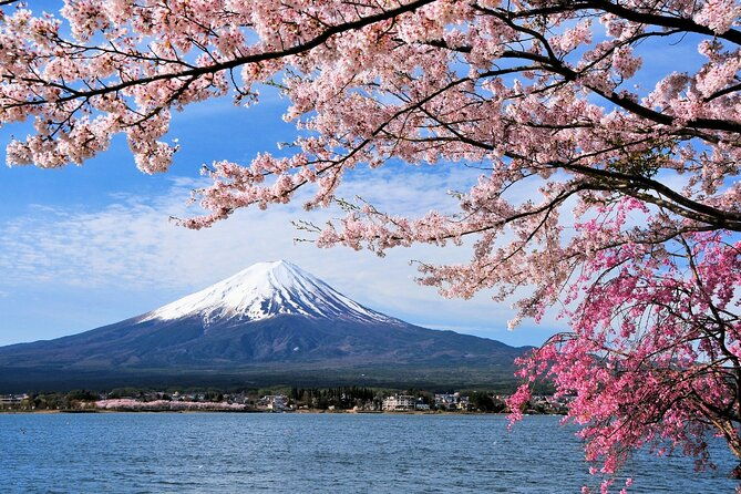 one-way-bus-takayama-to-kawaguchiko-via-mt-fuji-5th-station