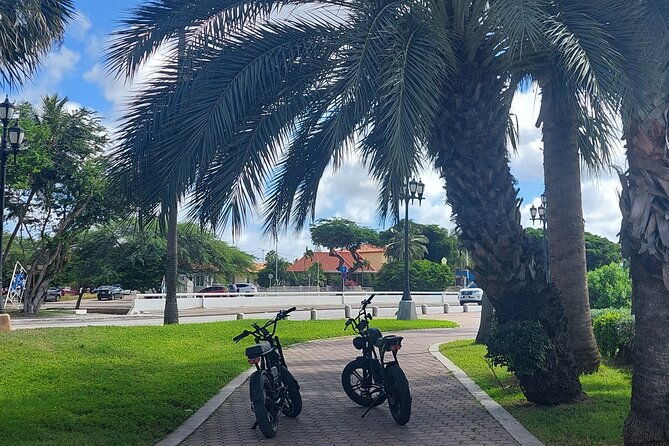 oranjestad-culture-heritage-and-coastal-electric-bike-experience