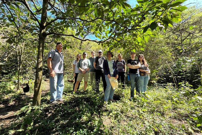 organic-coffee-farm-tour