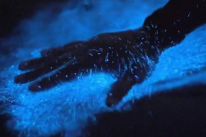 orlando-bioluminescence-kayak-and-swim-adventure