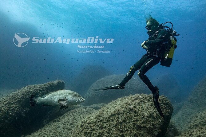 package-of-4-single-dives-to-the-capo-carbonara-marine-protected-area