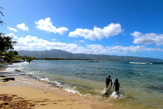 paddle-board-haleiwa-with-rescue-dogs