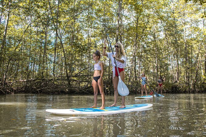 paddle-board-mangrove-tour