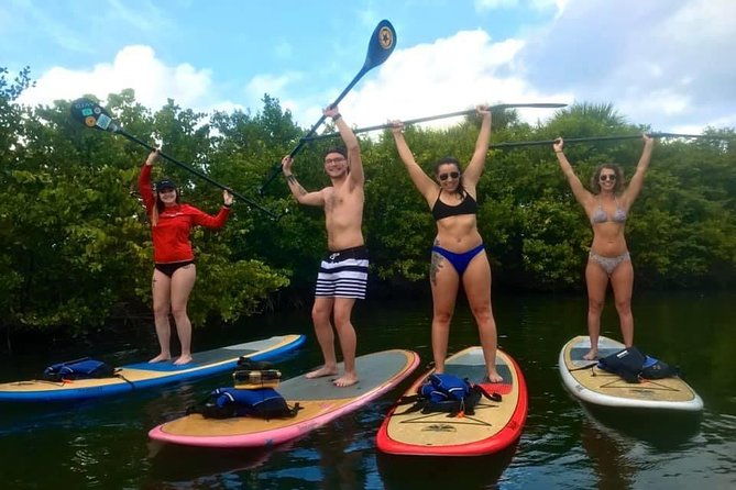 paddle-boarding-rentals