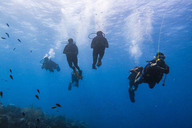 padi-advanced-open-water-course-in-2-days-including-night-dive