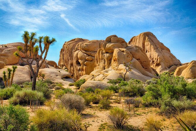 palm-springs-and-joshua-tree-self-guided-driving-audio-tours-2