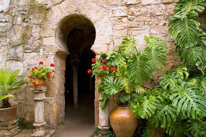 palma-cathedral-surroundings-private-tour-with-ticket-included