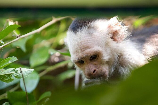 palo-verde-national-park-boat-safari-1-2-day